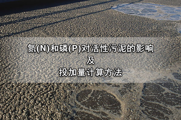 氮(N)和磷(P)對(duì)活性污泥的影響及投加量計(jì)算方法