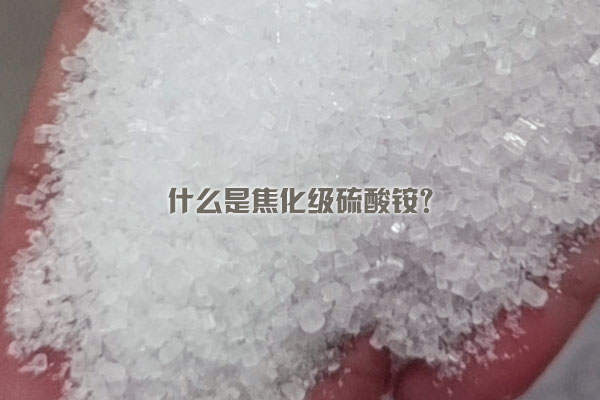 什么是焦化級硫酸銨？