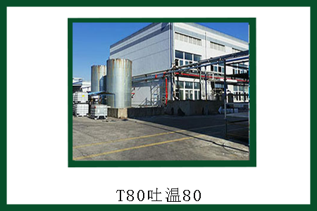 T80 T80